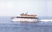 Orari battelli di linea Golfo Paradiso